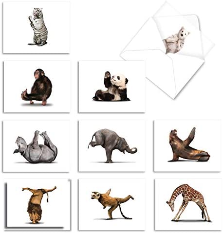 The Best Card Company - 10 Blank Yoga Note Cards (4x 5.12 Inch) - Boxed Notecards with Envelopes, Cute Animal Cards, Zen Assortment - Zoo Yoga M6547OCB