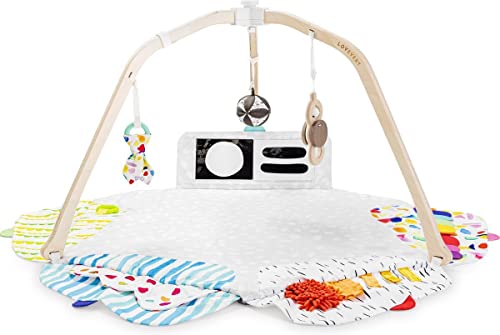 The Play Gym by Lovevery | Stage-Based Developmental Activity Gym & Play Mat for Baby to Toddler, 1 Count (Pack of 1)